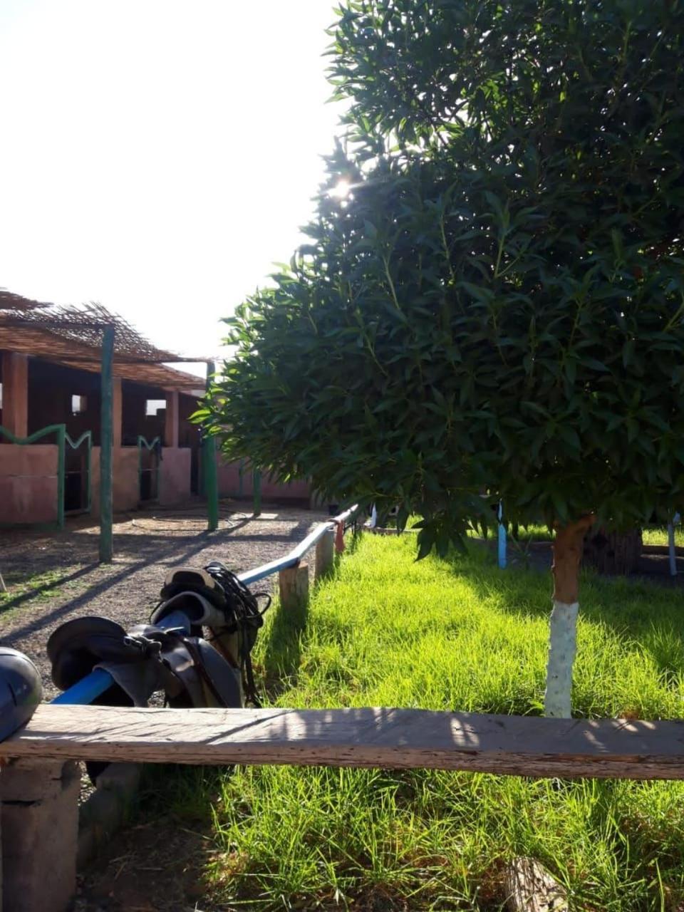 Les Cavaliers Chez Yassine Villa Marrakesh Ngoại thất bức ảnh