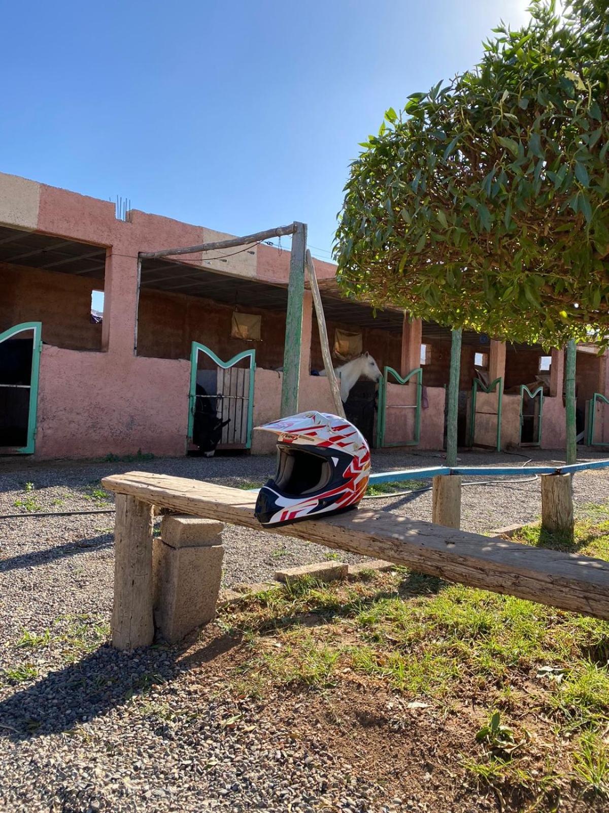 Les Cavaliers Chez Yassine Villa Marrakesh Ngoại thất bức ảnh