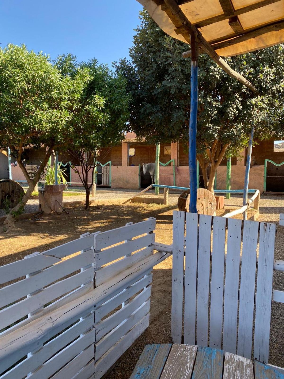 Les Cavaliers Chez Yassine Villa Marrakesh Ngoại thất bức ảnh
